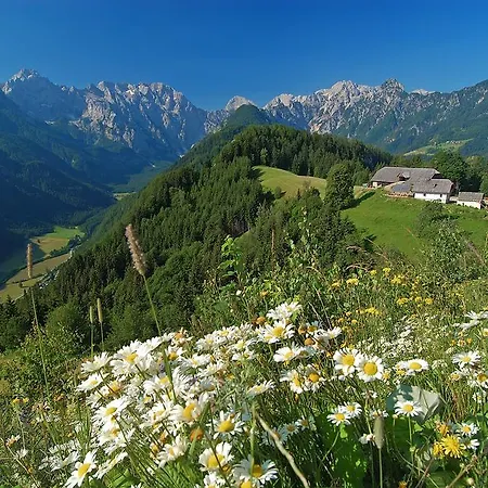 Stiftar Gospodarstwo agroturystyczne