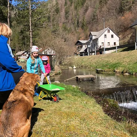 مزرعة للإقامة Stiftar Solčava