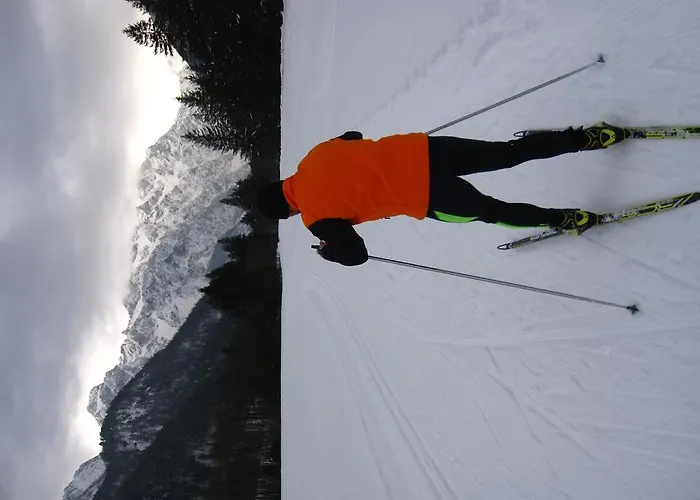 斯蒂夫达农家乐 农家乐 Solčava