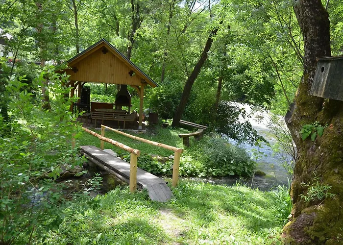 斯蒂夫达农家乐