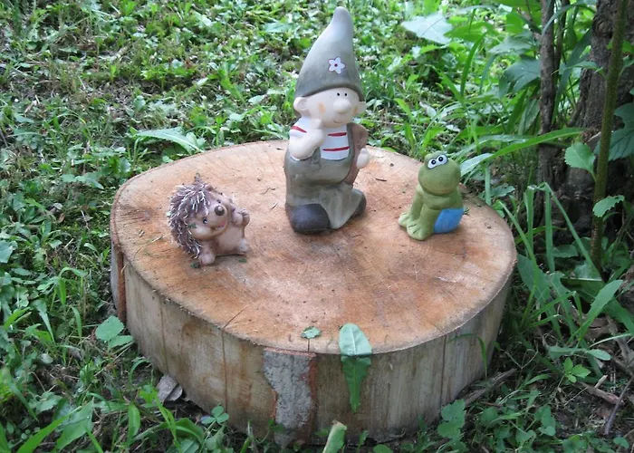 斯蒂夫达农家乐