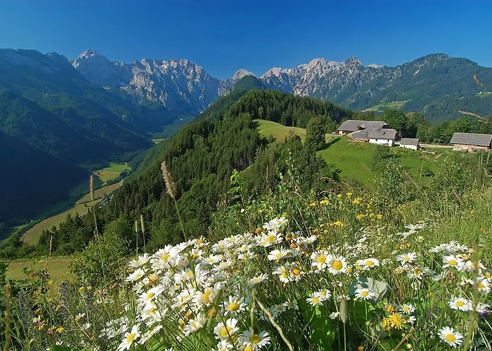 Stiftar Alojamento de Turismo Rural