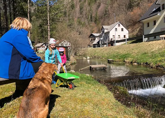Alojamento de Turismo Rural Stiftar Solčava